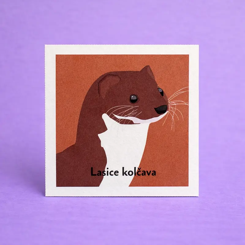 Pexeso Lesní zvířata - hlavní náhled