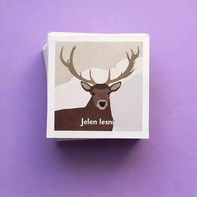 Pexeso Lesní zvířata - detail 3