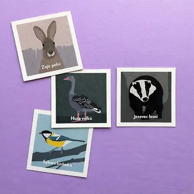 Pexeso Lesní zvířata - detail 4