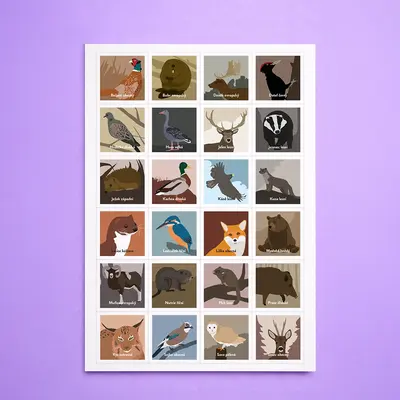 Pexeso Lesní zvířata - detail 5