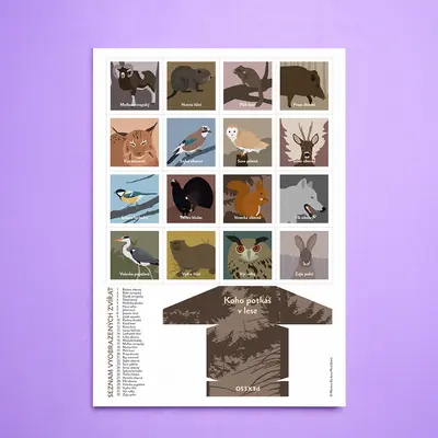 Pexeso Lesní zvířata - detail 6