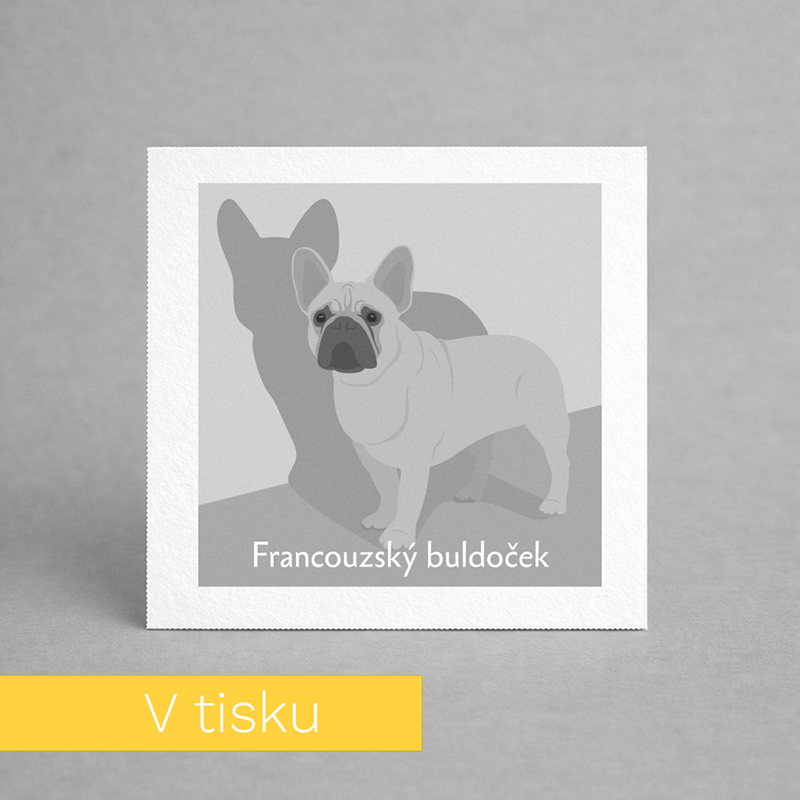 Pexeso Ptáci kartička s plameňákem