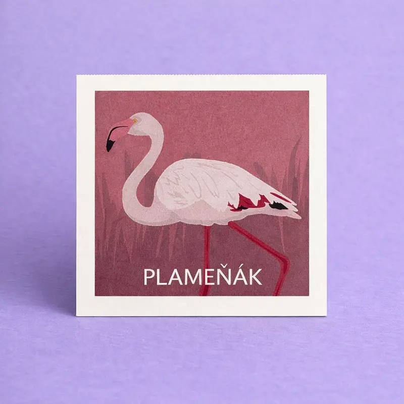 Pexeso Ptáci - hlavní náhled