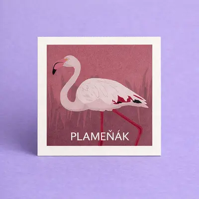 Pexeso Ptáci - detail 1