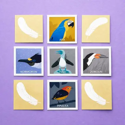 Pexeso Ptáci - detail 2