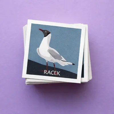 Pexeso Ptáci - detail 3