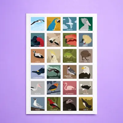 Pexeso Ptáci - detail 5