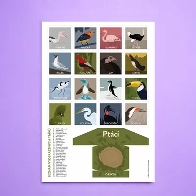 Pexeso Ptáci - detail 6